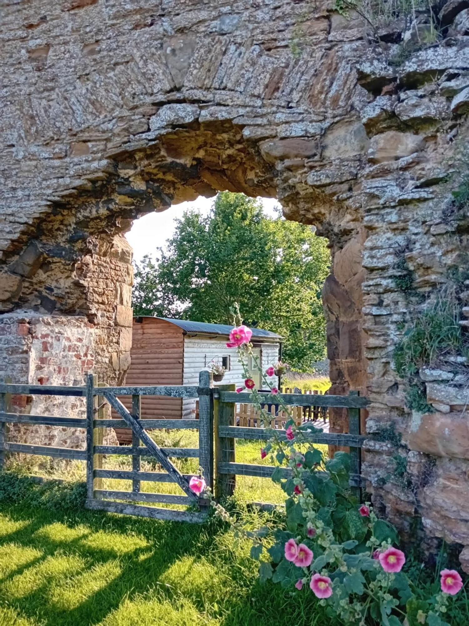 The Shepherd's Hut *